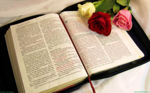 14373_bible_with_roses_w_1920x1200